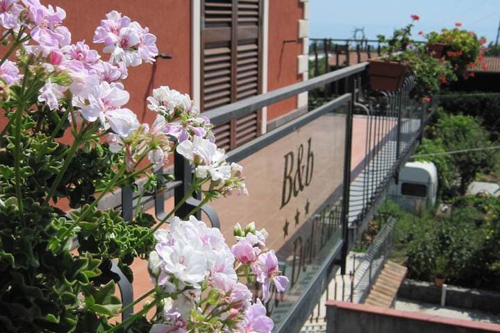 B&B Anthea dellEtna photo 3