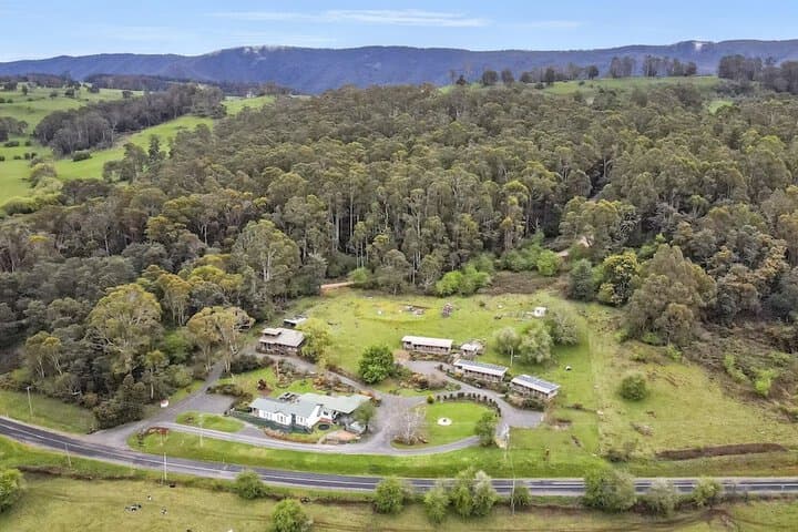 Mole Creek Cabins photo 4