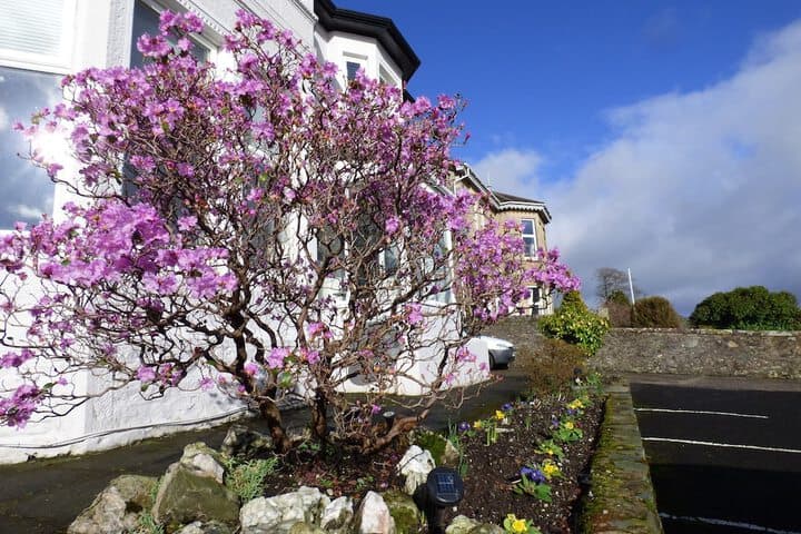 Douglas Park Guest House photo 3