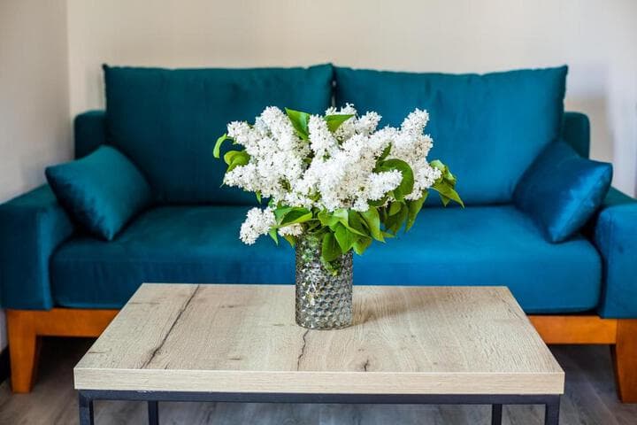 Central Park Apartments photo 5