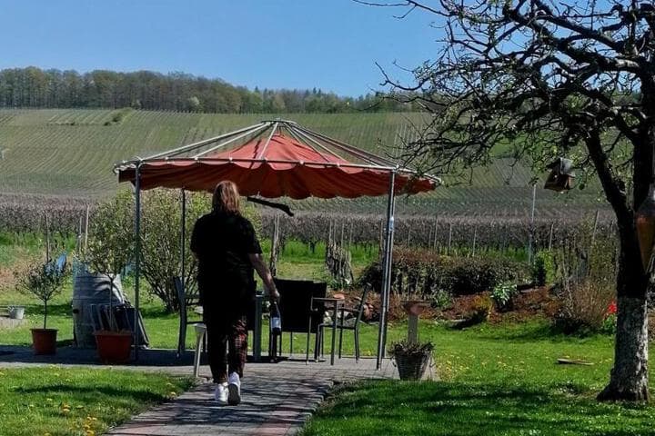 Weingut Tiliahof photo 3