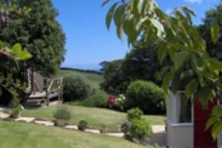 Frogwell photo 5
