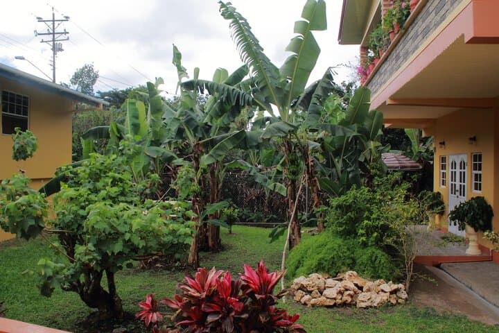 Greenhaven Cottage B&B photo 4