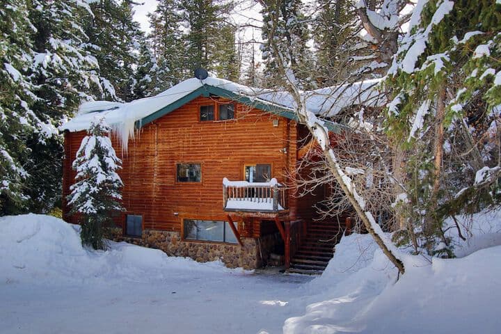 Log Cabin on the Stream photo 5