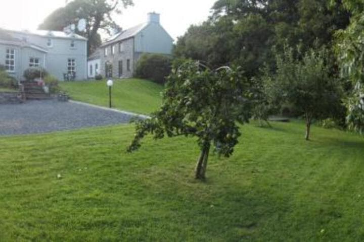 SunnySide Cottage photo 3