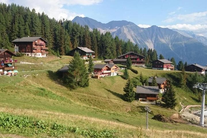 Chalet Enzian photo 3