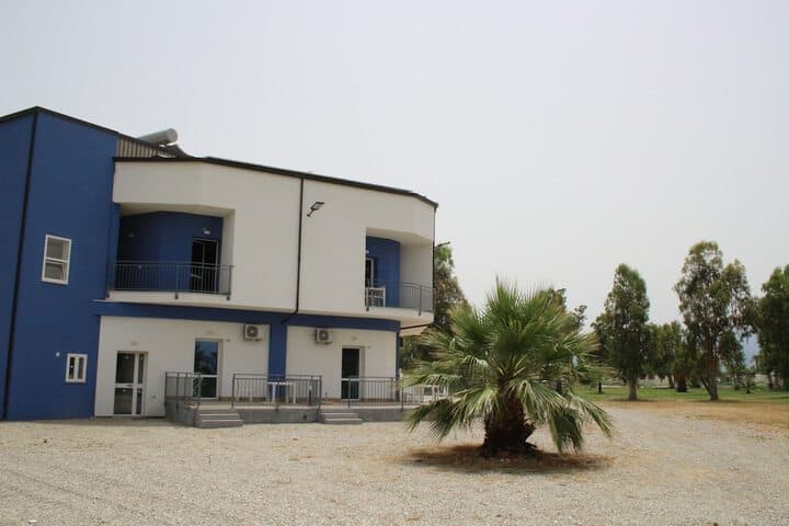 Levante photo 3