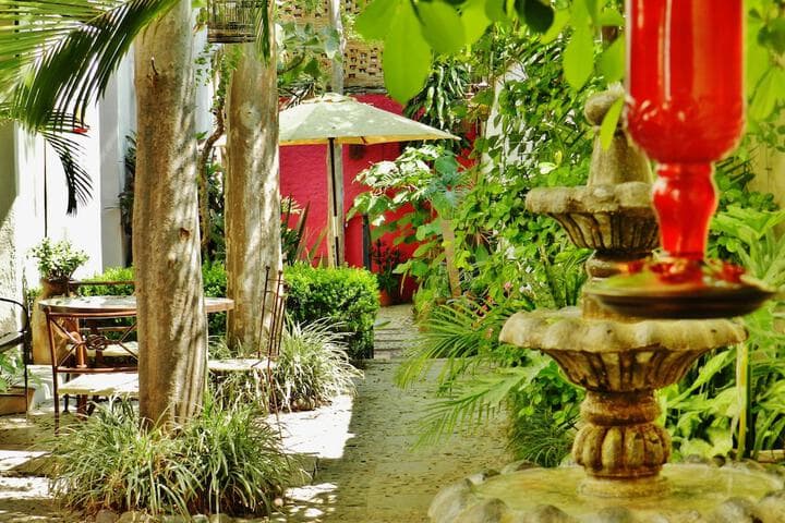 Hotel Rosa Morada photo 5