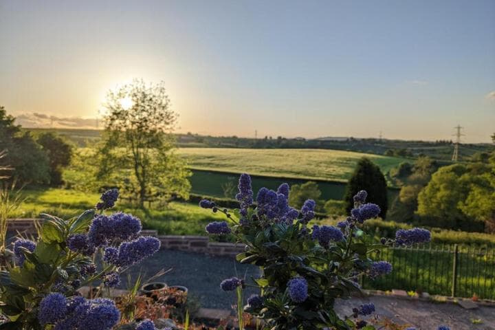 Thatch Close Cottages photo 4