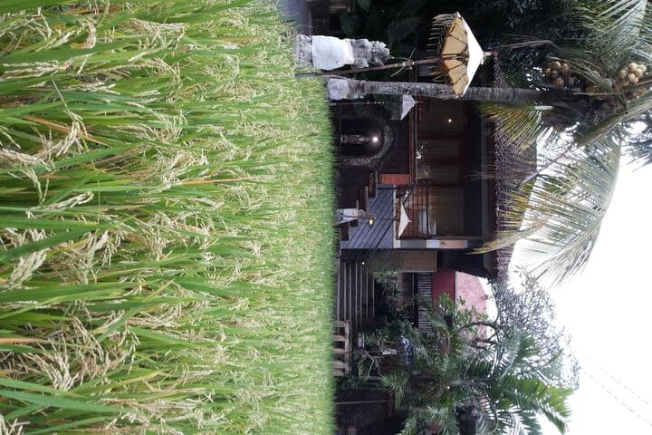 Bali Putra Villa photo 3