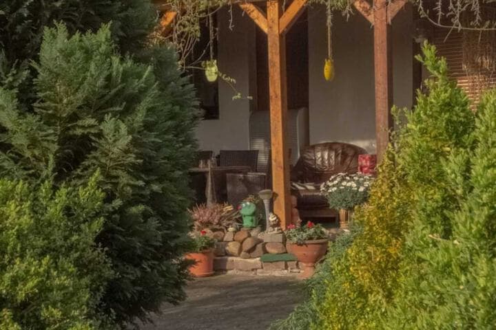 Pension zum Schwanenteich photo 5
