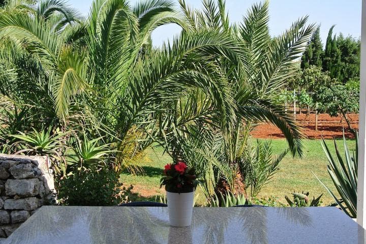 Agri Residence Campi Latini photo 5