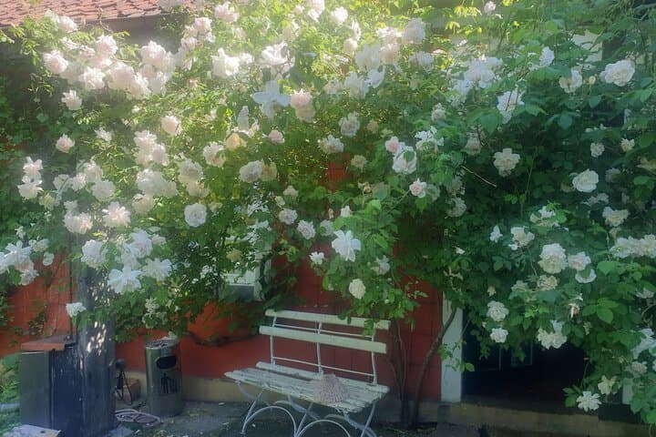 Rosindell cottage photo 5