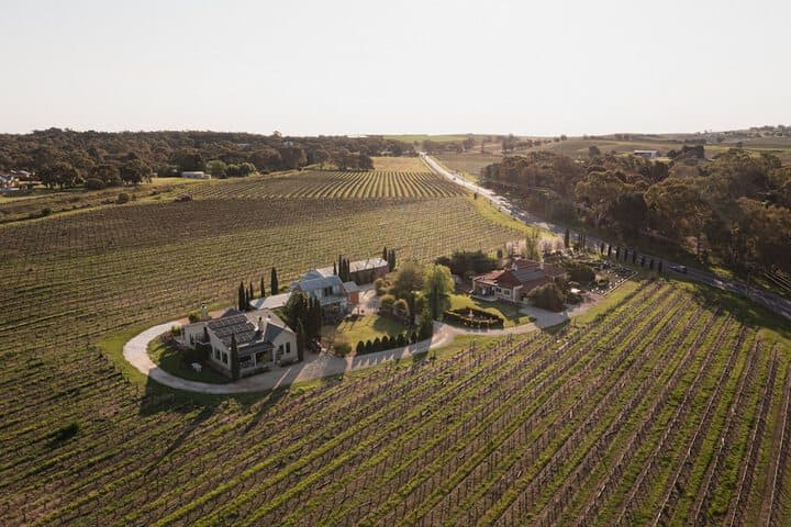 Barossa Shiraz Estate photo 2