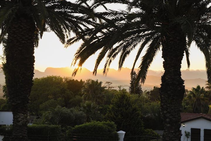 Four Palms Accommodation photo 4