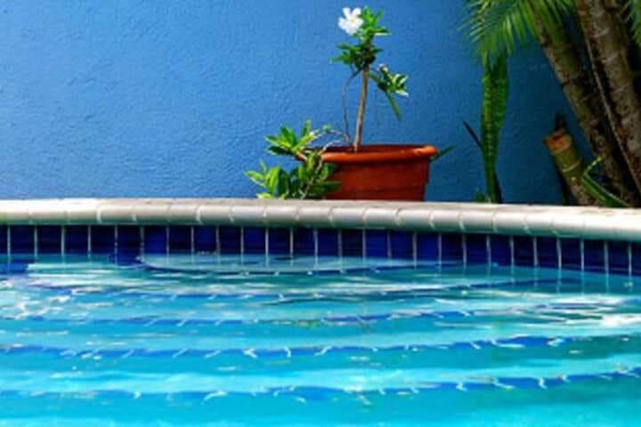 Caribbean Flower Apartments photo 3