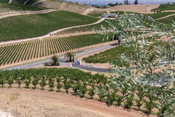 Sirena Vineyard Resort photo 4