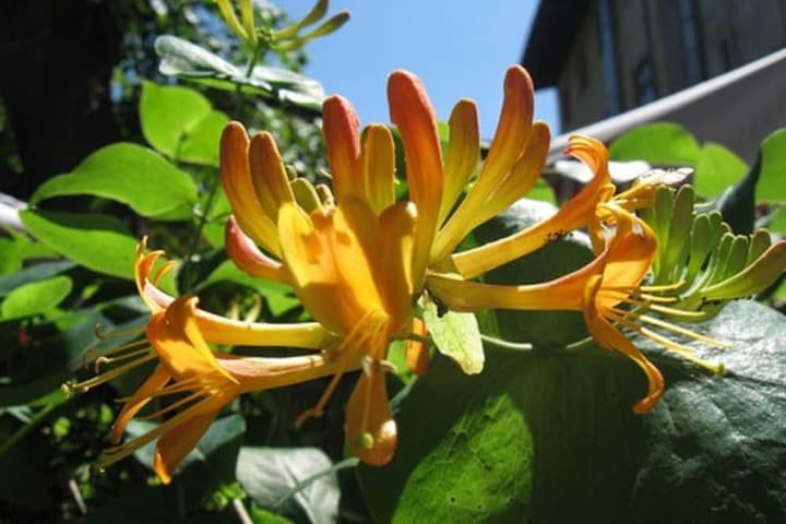 Globtroter Guest House photo 2