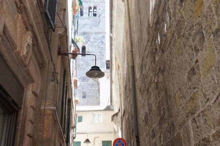 Le coccole photo 2