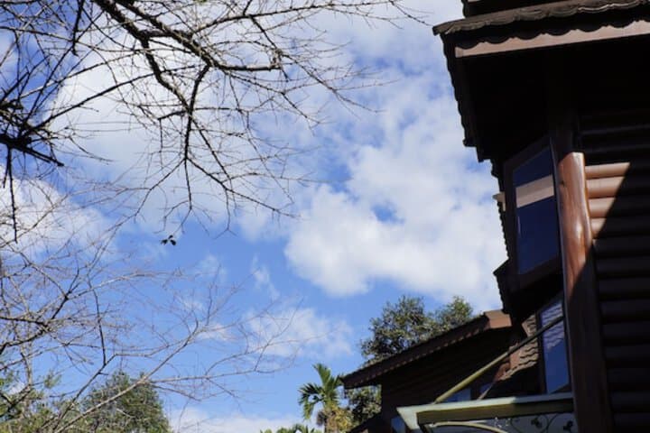 Sakura Villa photo 2