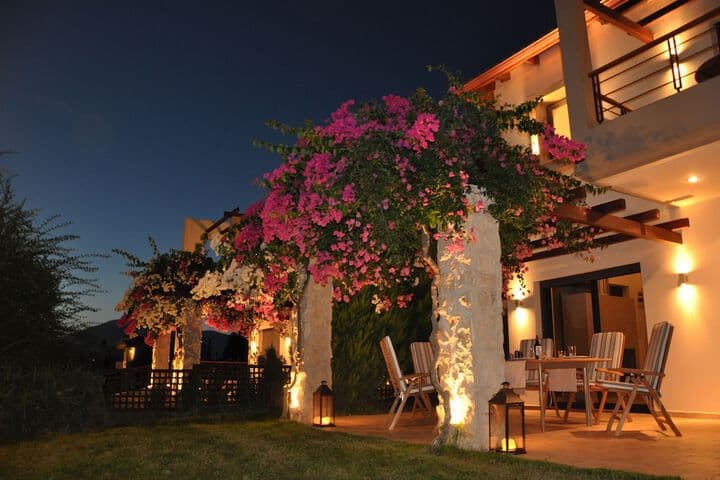 Villa Carlos photo 5