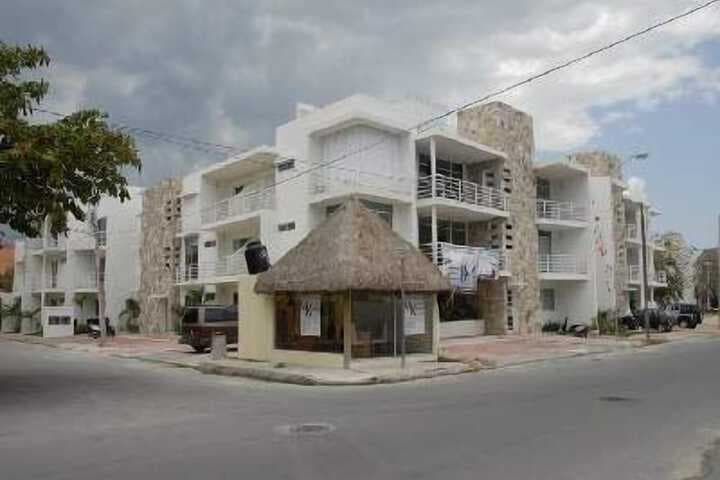 Pelicanos 112 photo 2