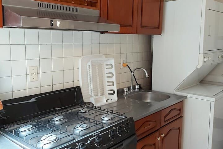 Steinhaus Homero photo 2