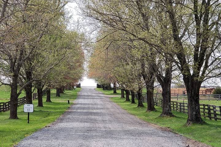 The Manor at Courtland Farm photo 2