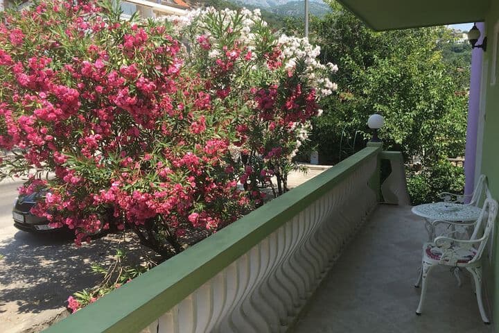 Villa Boka Bay photo 3