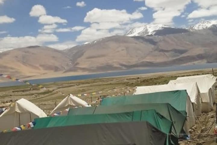 Golden Mark Camp photo 5