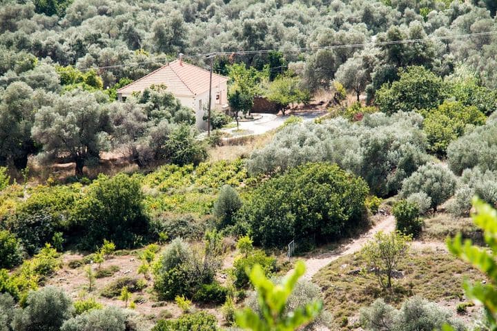 Villa Vlatos photo 2