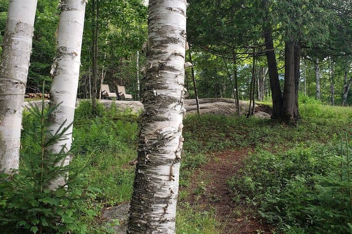 Le DEN de Tremblant photo 5