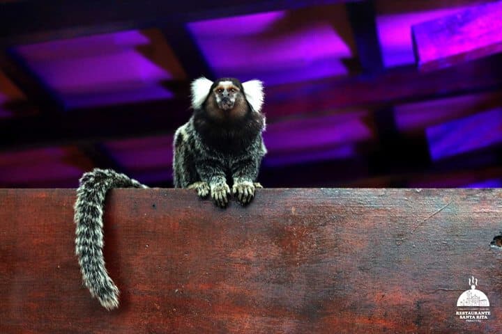 Che Lagarto Paraty Hostel photo 5