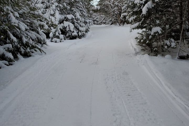 The Inn at OxBow Acres photo 3