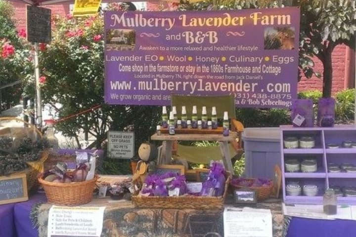 Mulberry Lavender Farm&B&B photo 5