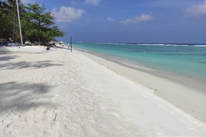 Planktons Beach photo 5