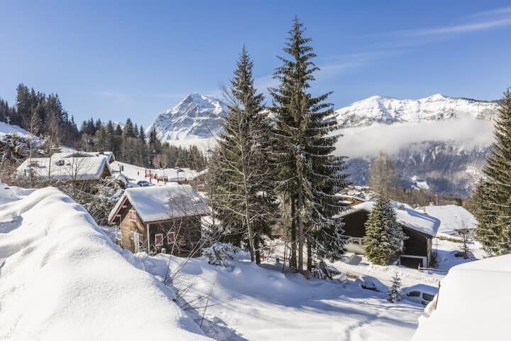 Odalys Residence Front de Neige photo 5