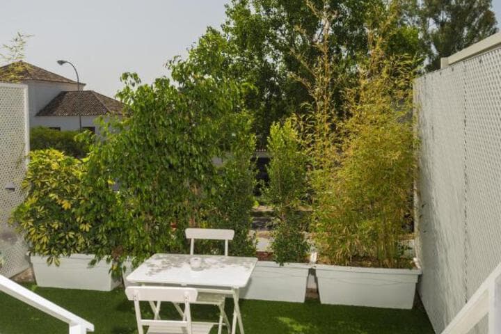 Bluebelle Marbella photo 4