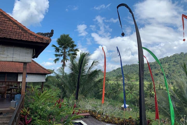 Barong Villas photo 4