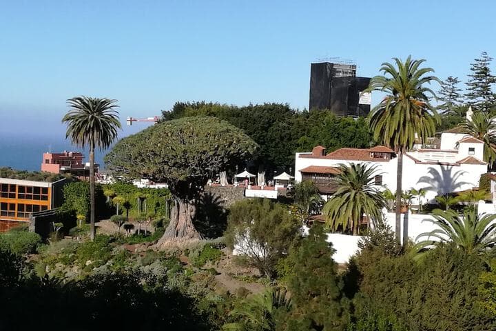 Drago Hostel photo 2