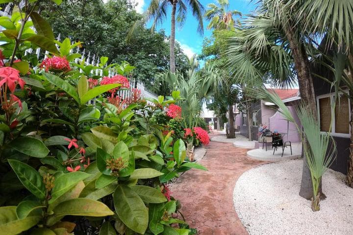 Cadushi Apartments photo 3