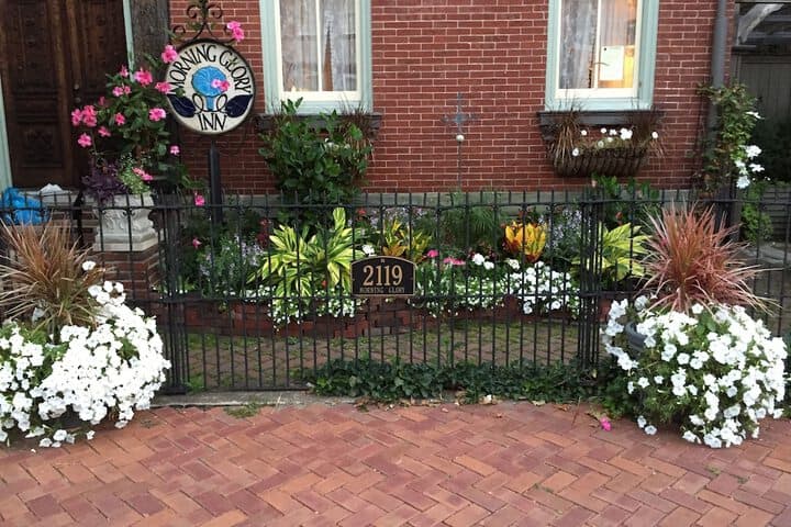 Morning Glory Inn photo 3