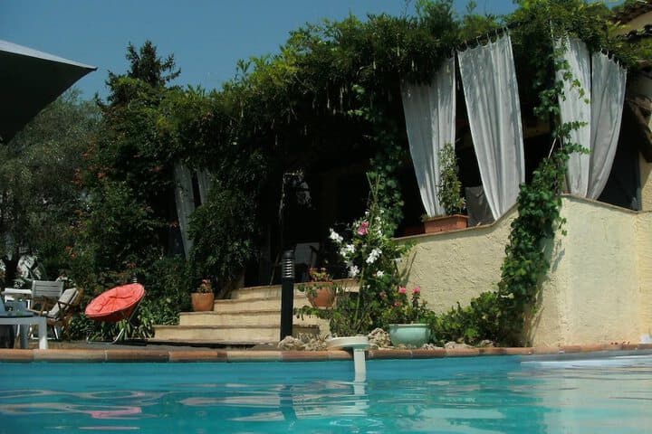 La Pelicane photo 5