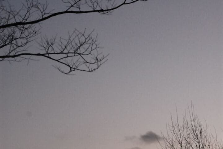Motif No.1 Guest House photo 4