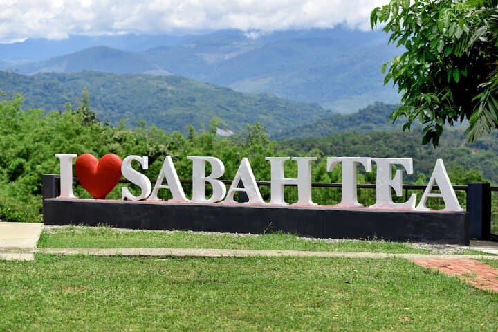 Sabah Tea Resort photo 4