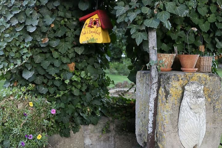 Mas du Clos de lEscarrat photo 4