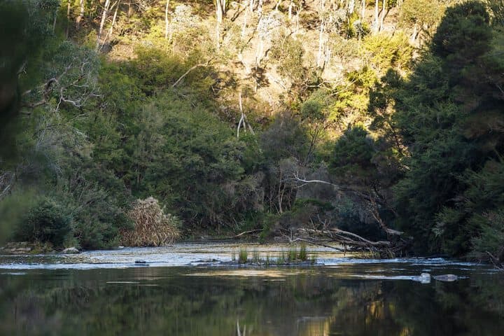 Yering Gorge Cottages photo 3