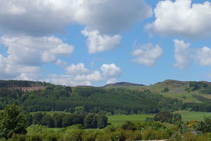 Tayview Lodges photo 4