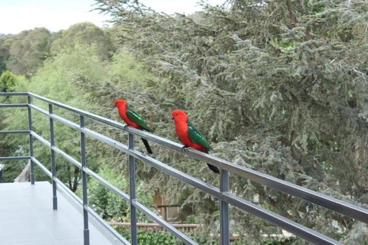 Bundanoon Lodge photo 2