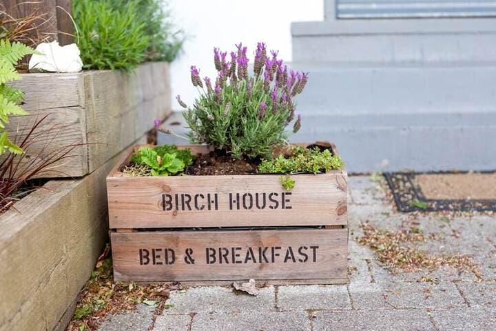 Birch House B&B photo 3
